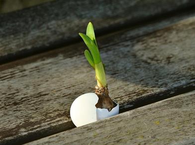 4s-vps-ostern-bei-den-kleinen-lara